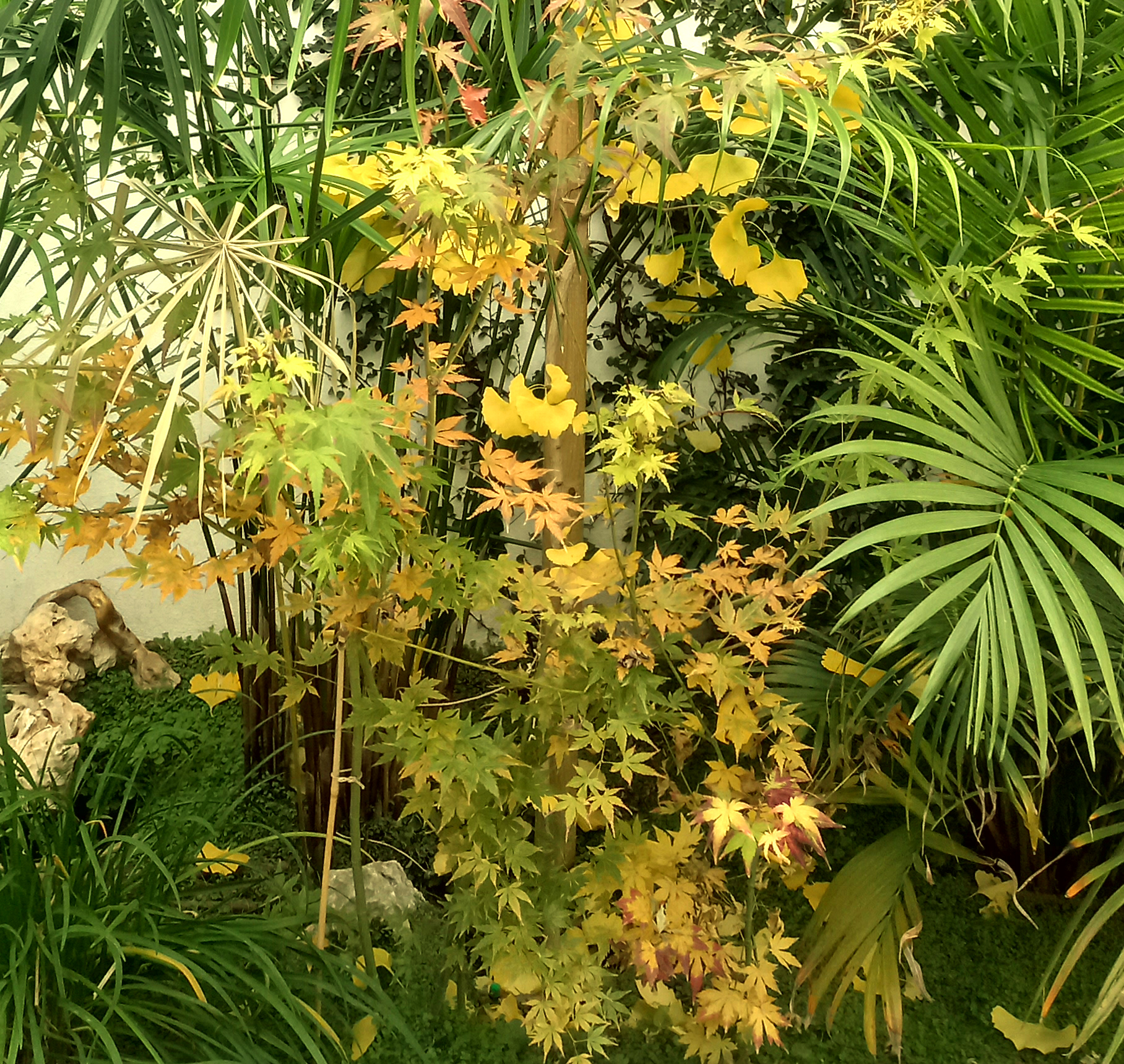 MUNDOVERDE, jardinería y paisajismo en Sevilla